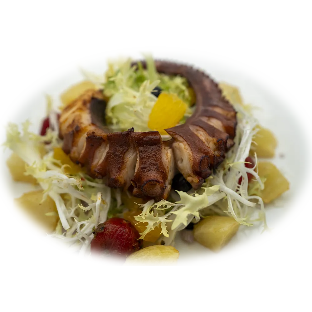 Grilled Octopus Salad