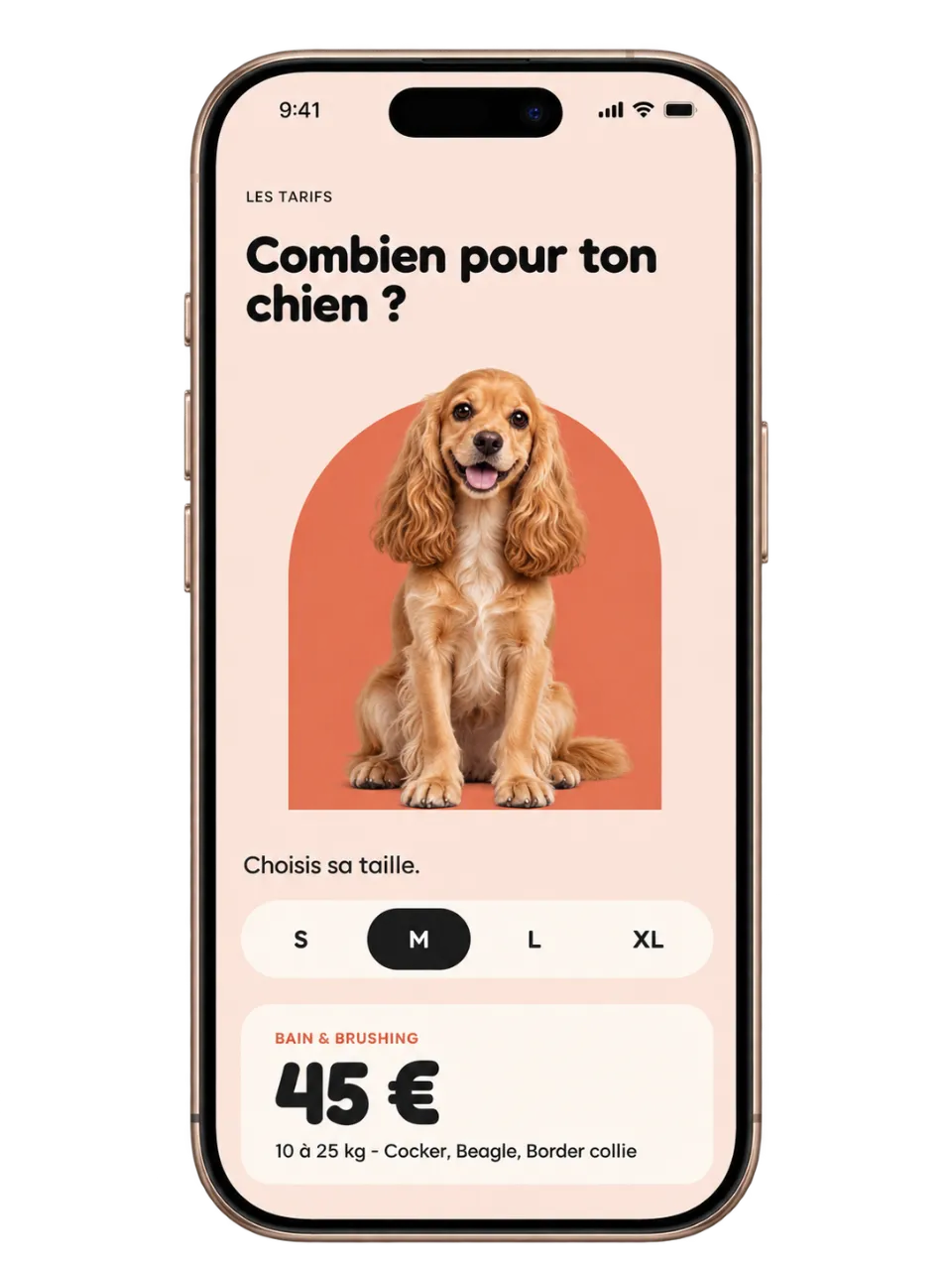 Sélecteur de taille des tarifs Fresh Paws sur mobile, chien de taille moyenne