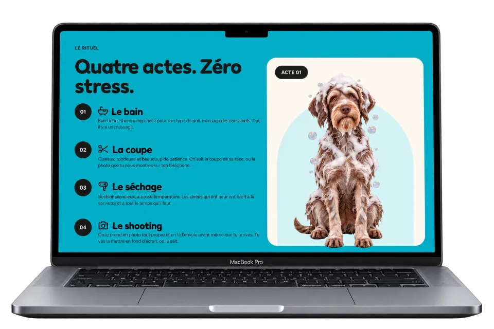 Section rituel du site Fresh Paws : le toilettage en quatre actes, du bain au shooting