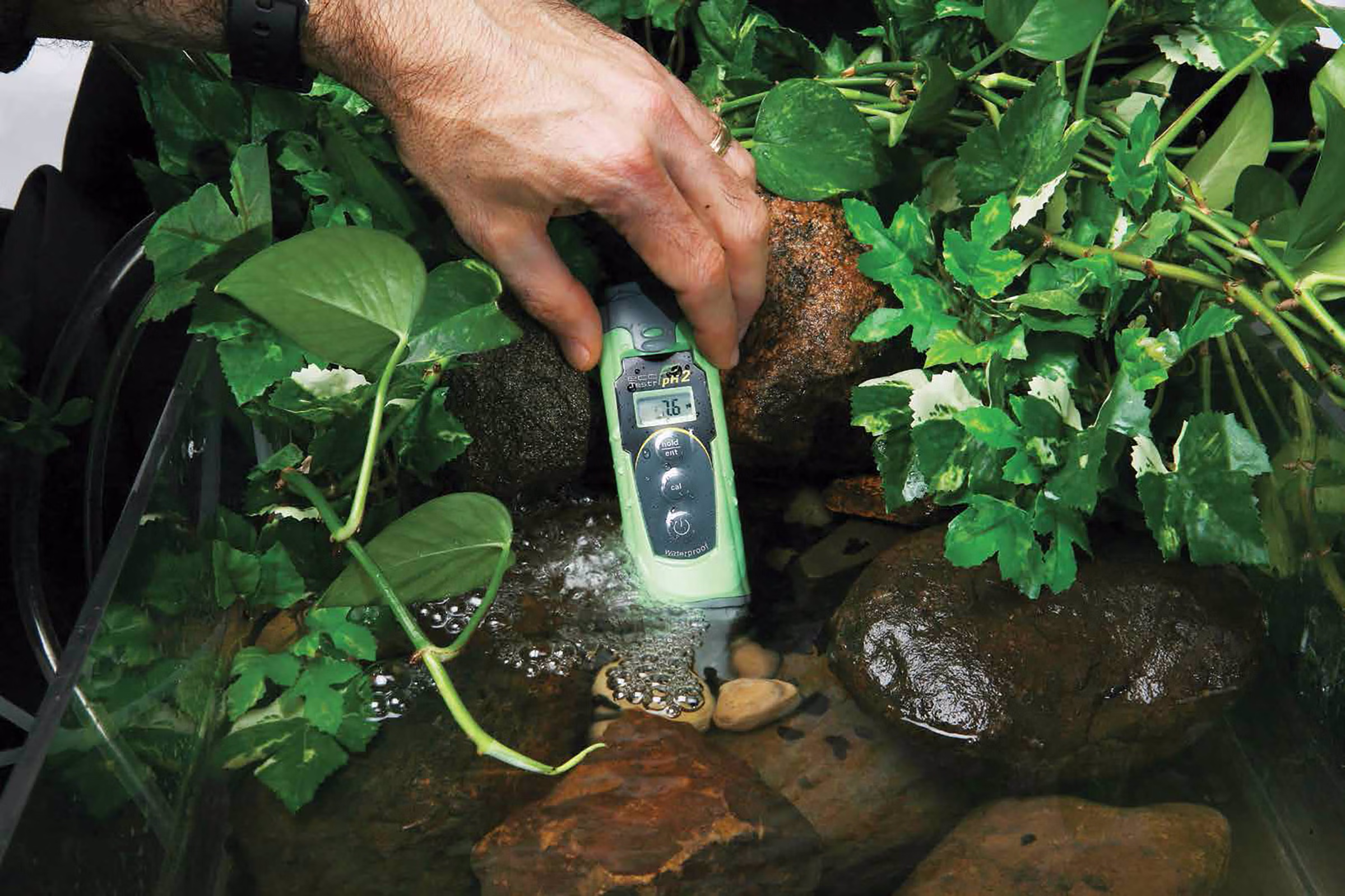 A hand places a green Eutech EcoTestr pH2 pocket tester into shallow water surrounded by rocks and plants.