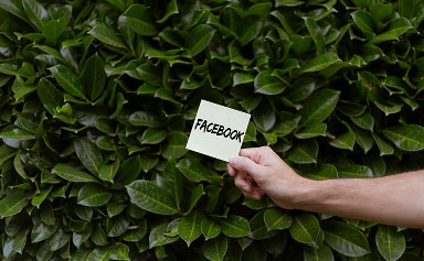 Hand holding a note with the word Facebook in front of dense green foliage.