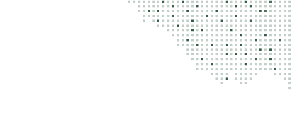 Text showing the word Shadow with a pixelated font and a grid shadow effect.
