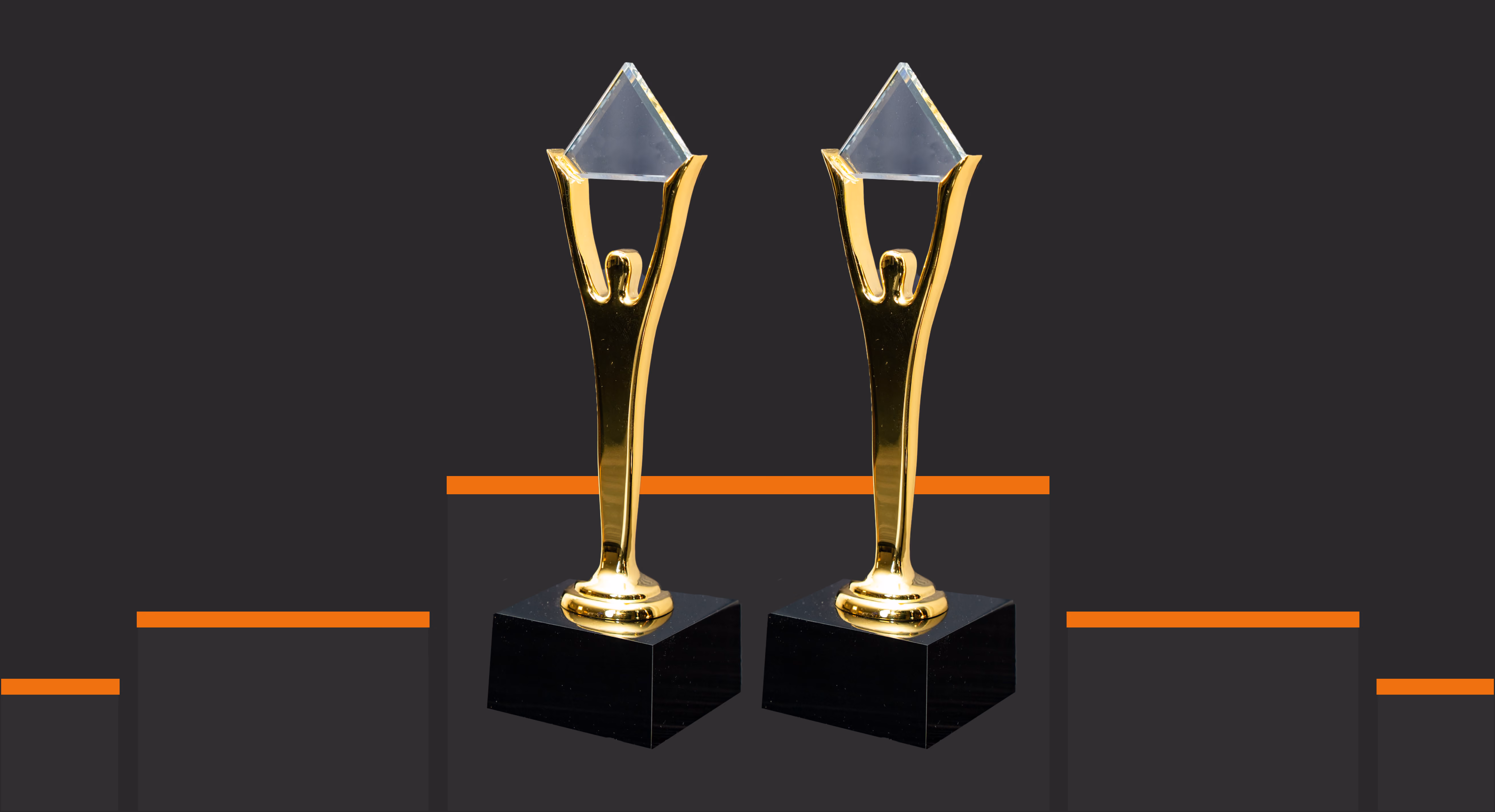 EverHelp Gold Stevie Award 2026