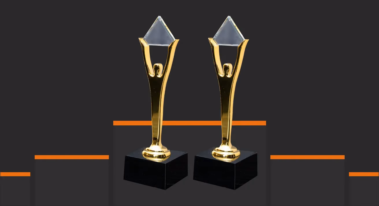 Stevie award “Customer Service Outsourcing Provider of the Year” 