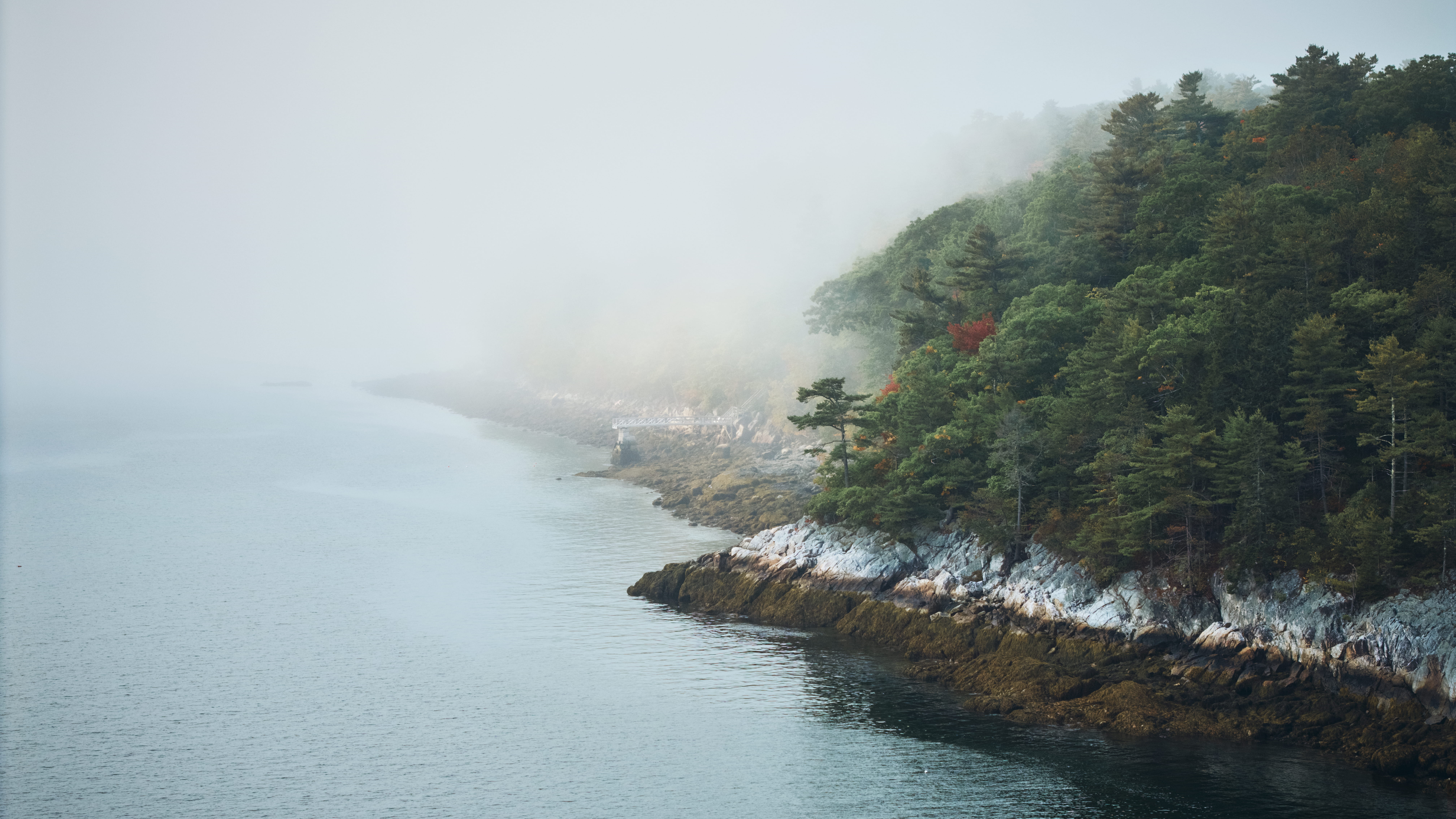 Fog drifting over the water along the wooded shore of Rockport Harbor, Maine