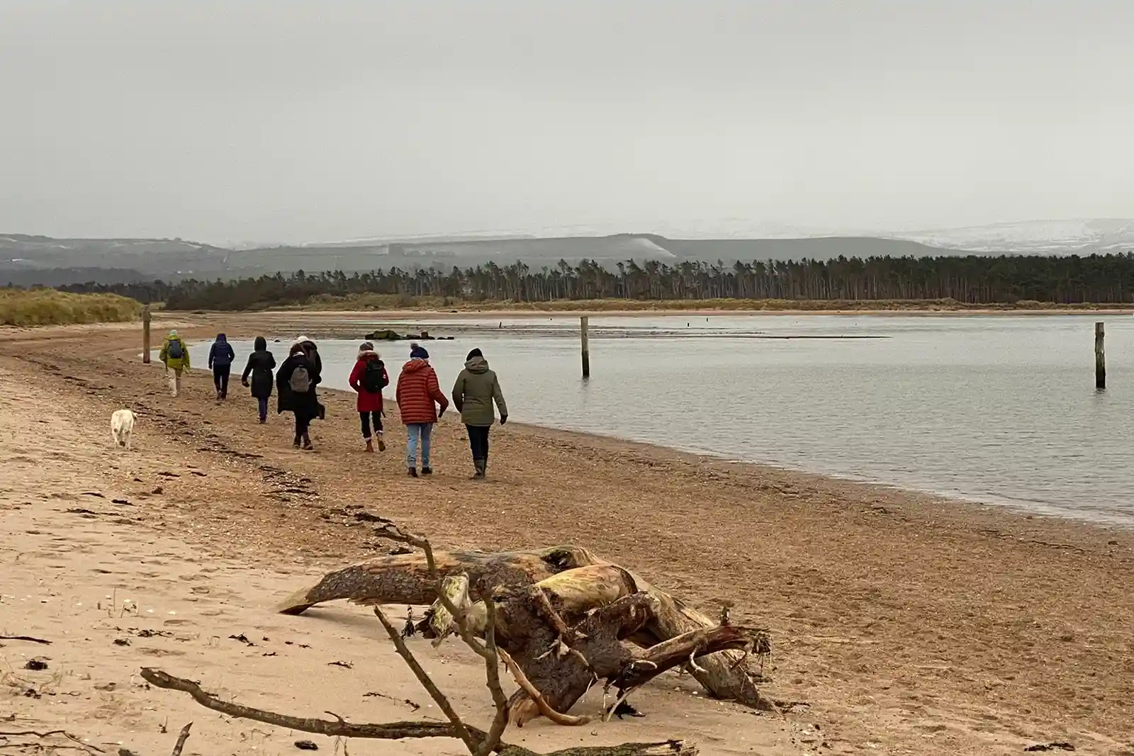 Day Trip to Dunbar
