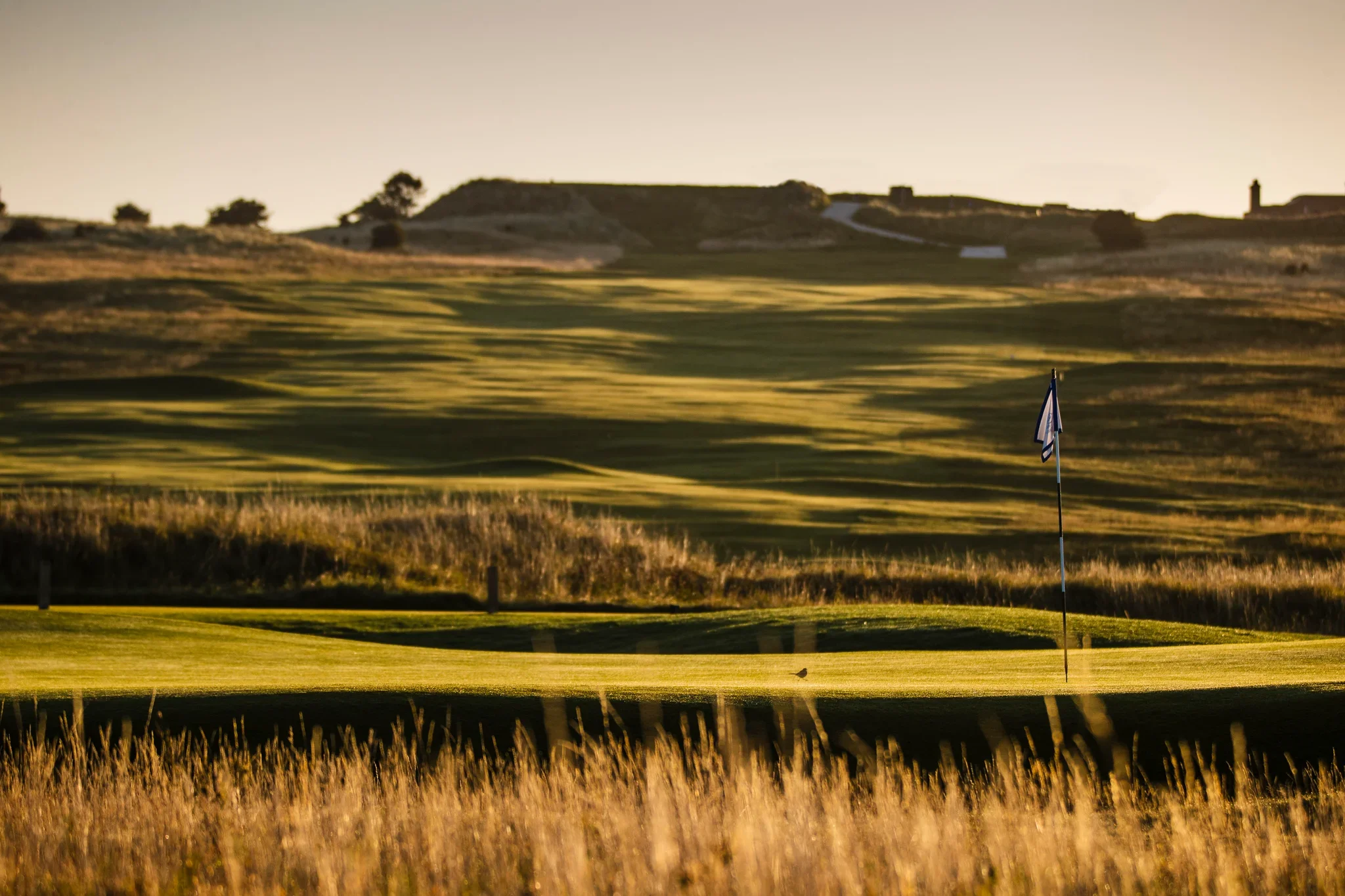 Gullane links at sunset