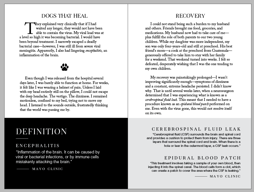 Interior formatting spread from Dogs That Heal
