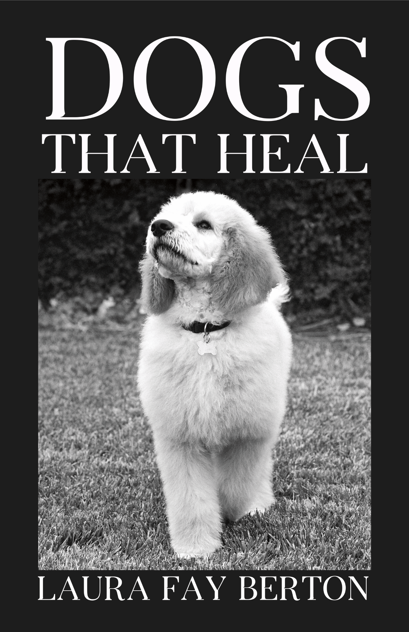 Breaking Free book cover