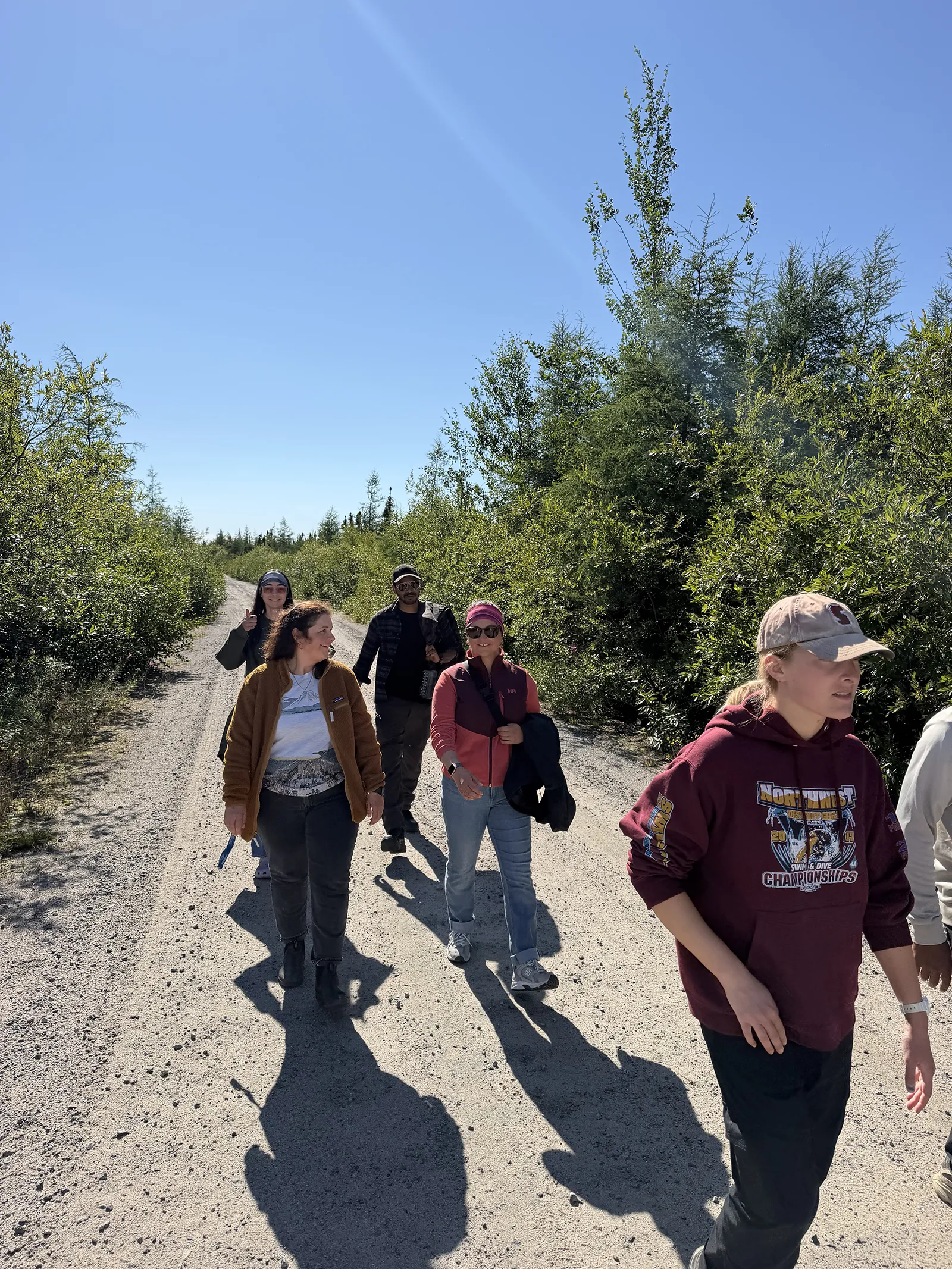 Five people walking on a sunny gravel path surrounded by green trees under a clear sky.