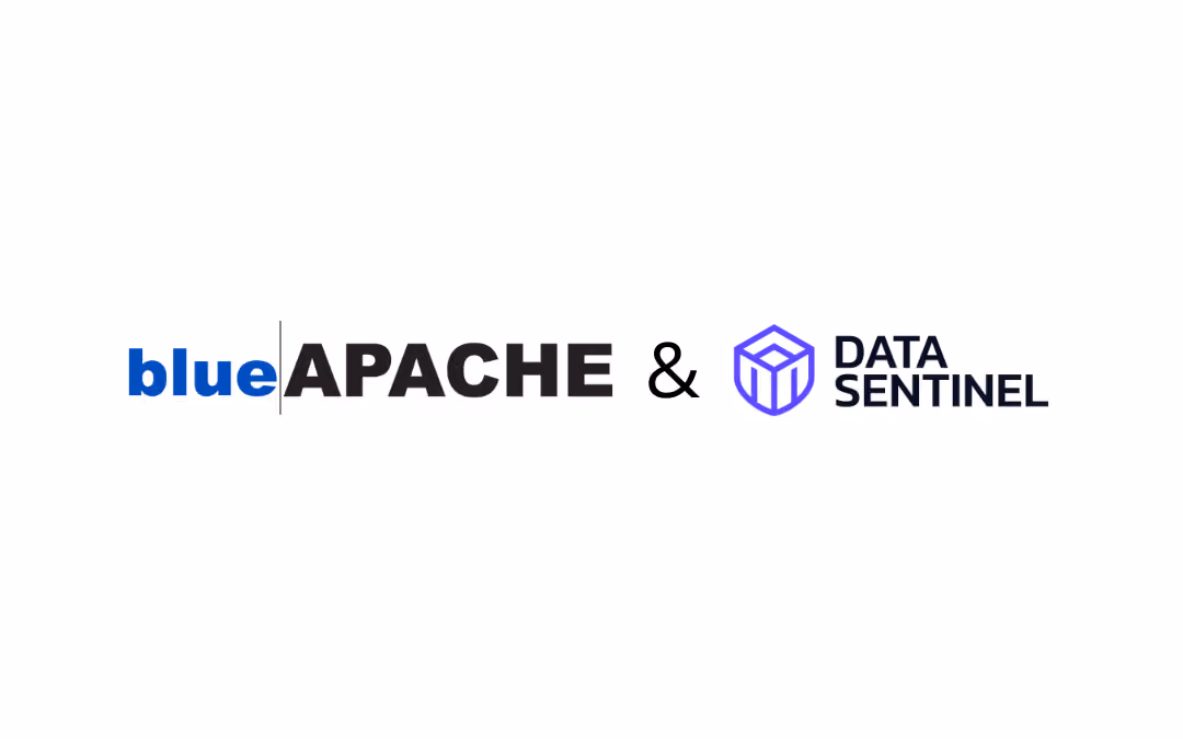 Introducing Datasentinel: Specialist Support For Your Data Platforms