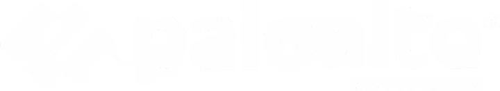 Palo Alto Networks