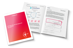 KuppingerCole 2025 Leadership Compass for Application Security Report