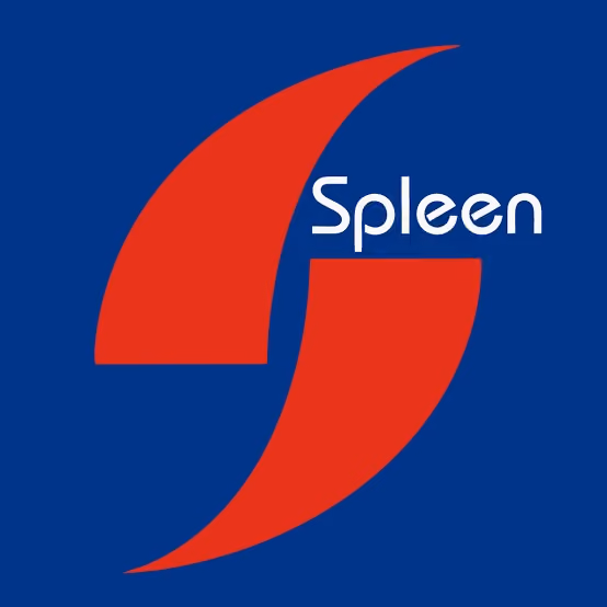 spleen