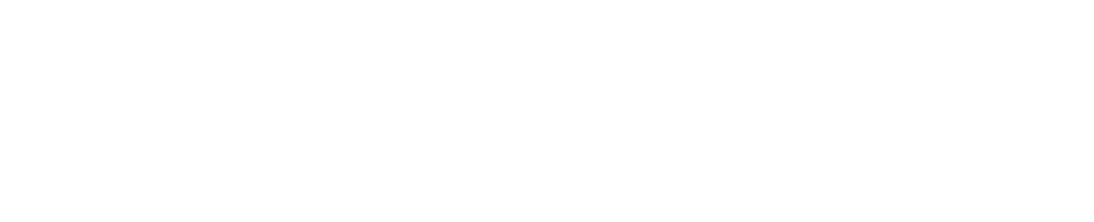 Roborock