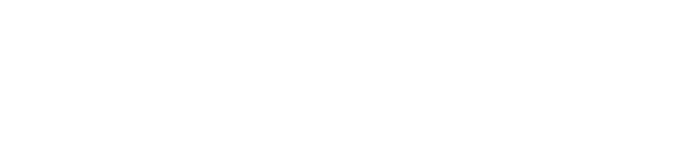 Roborock