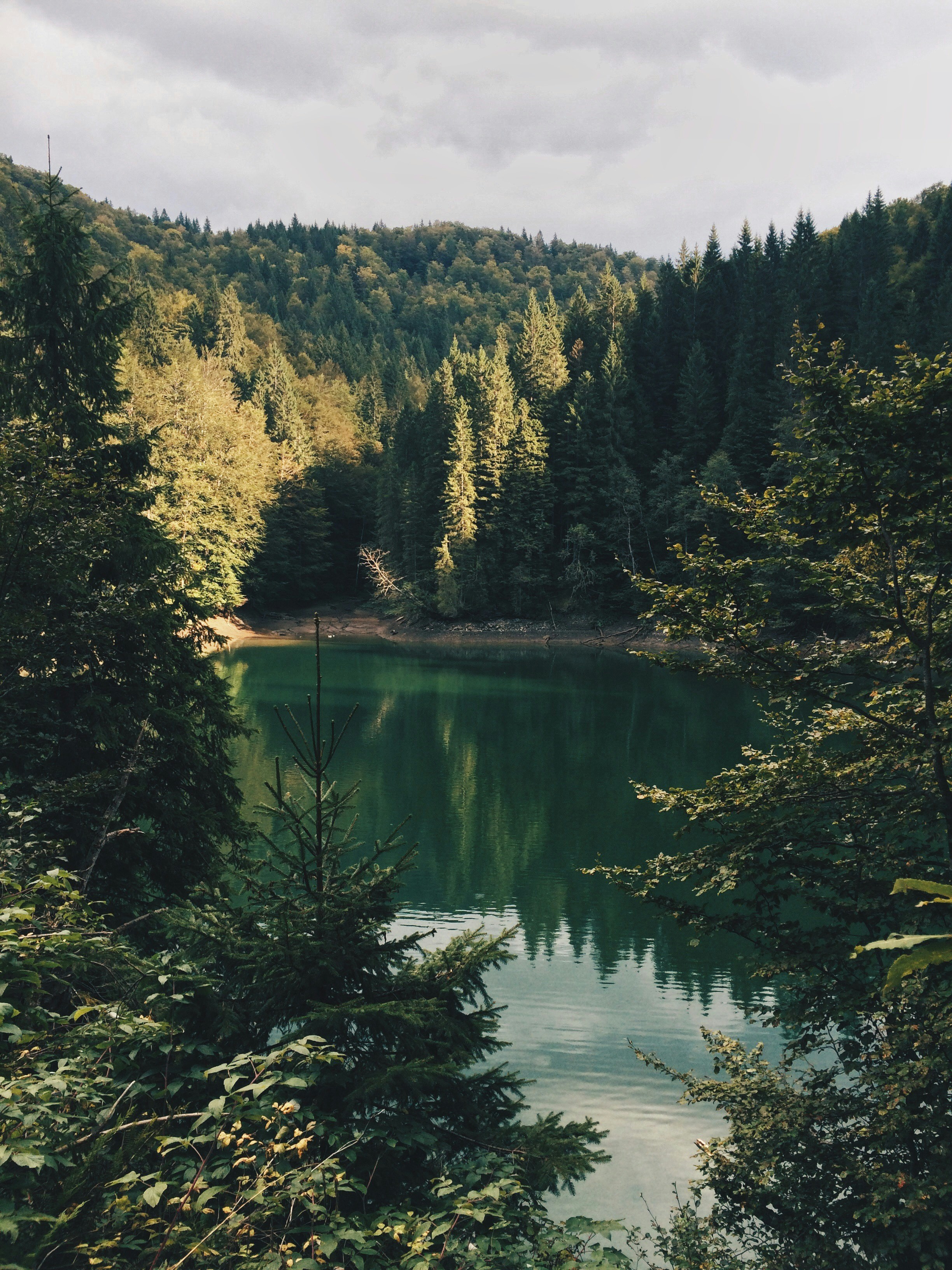 Work With Nature, Not Against It