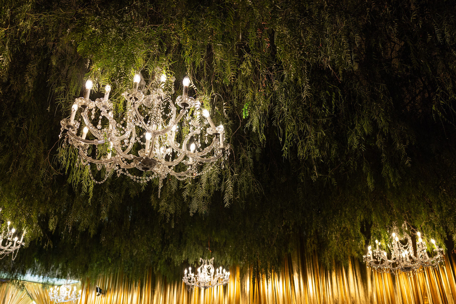 Crystal chandeliers suspended in the hanging willow