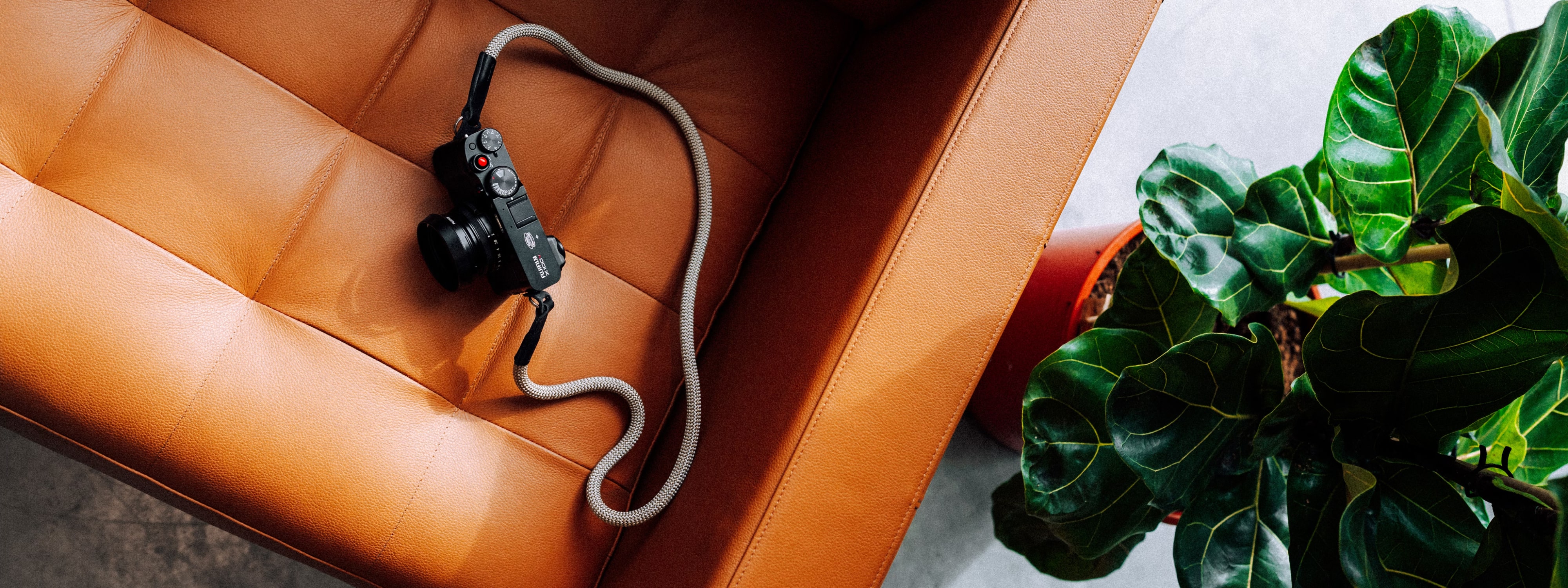 Black camera with beige strap resting on a tan leather chair next to a green leafy indoor plant.