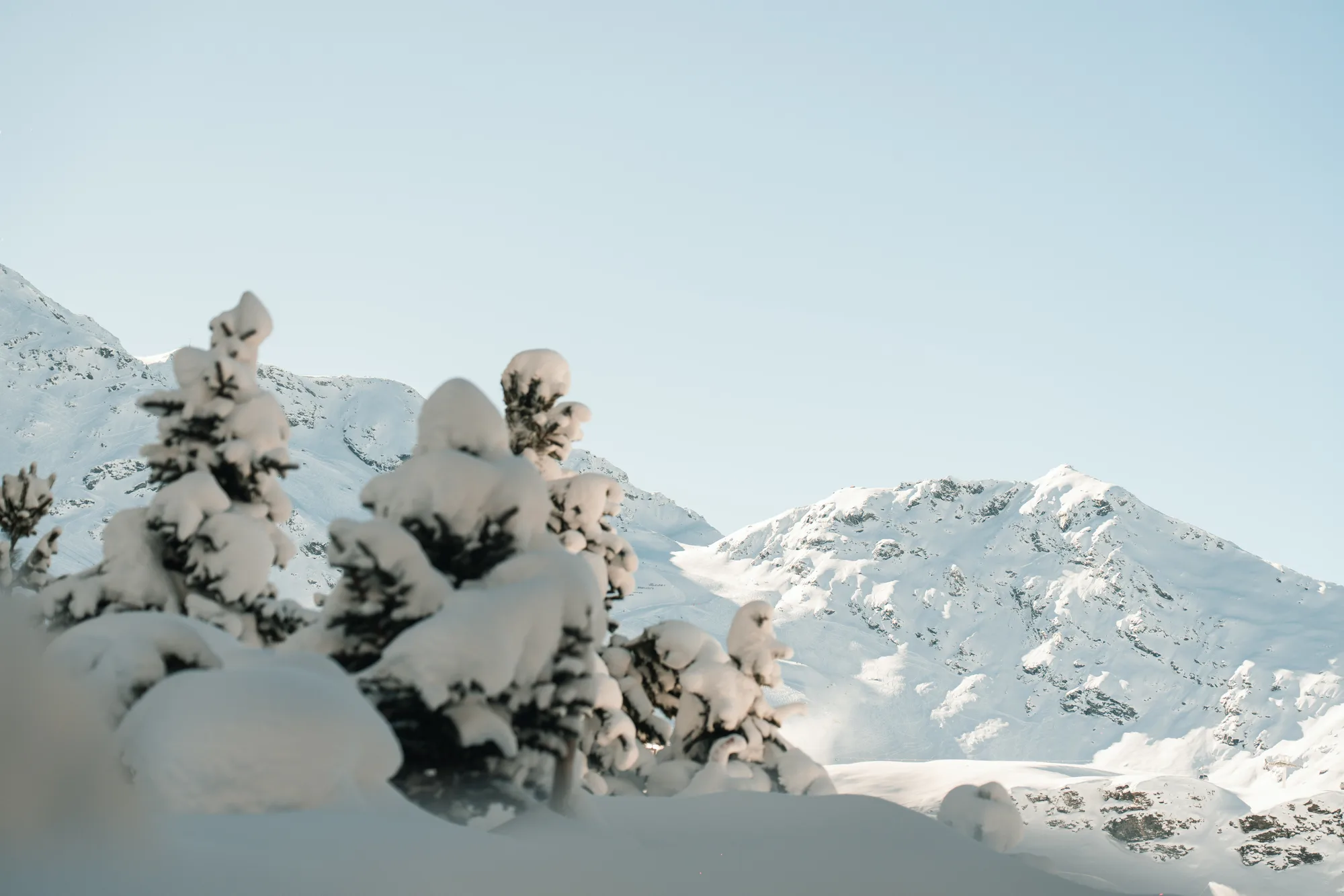 Paysage de montagne enneigée avec des sapins recouverts de neige sous un ciel clair.
