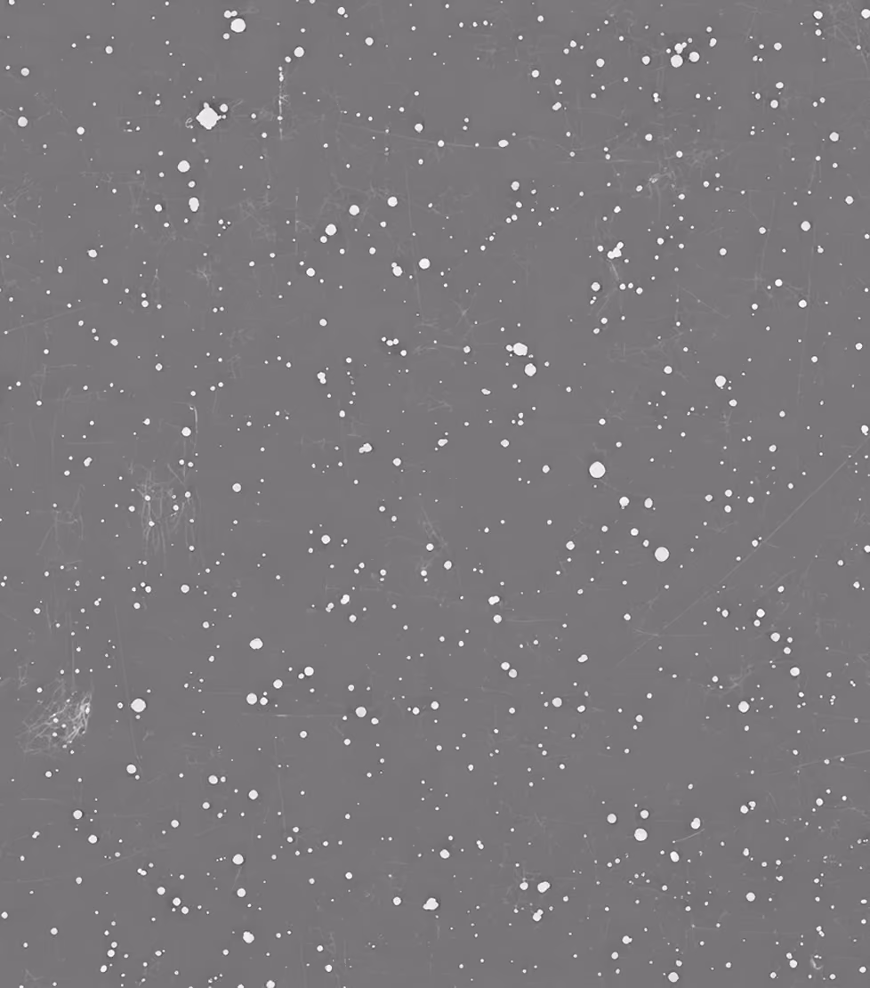 Gray background with scattered white spots resembling paint splatters or stars.