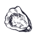 Black and white illustration of a single oyster shell with its textured surface visible.
