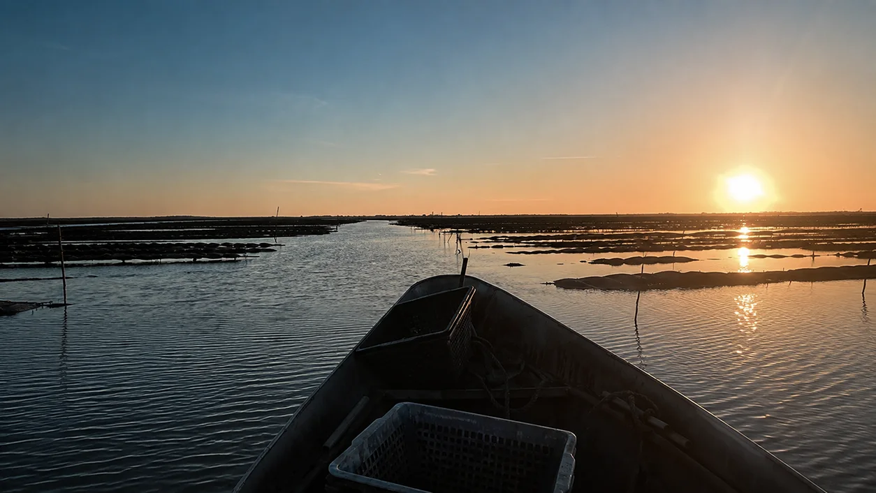 View from a boat navigating through calm water channels at sunset over a flat wetland.