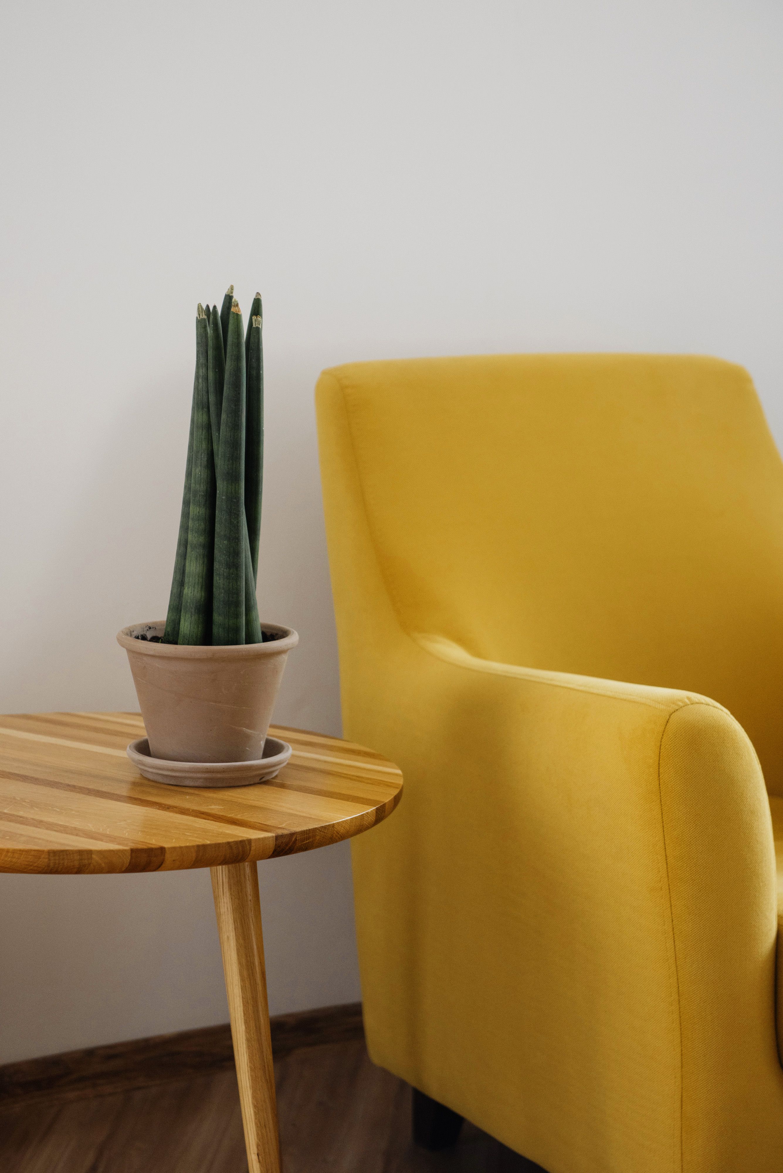 couch stock image