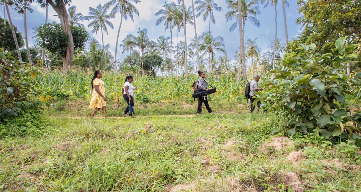 Four data collaborative researchers on a field walk in rural Africa