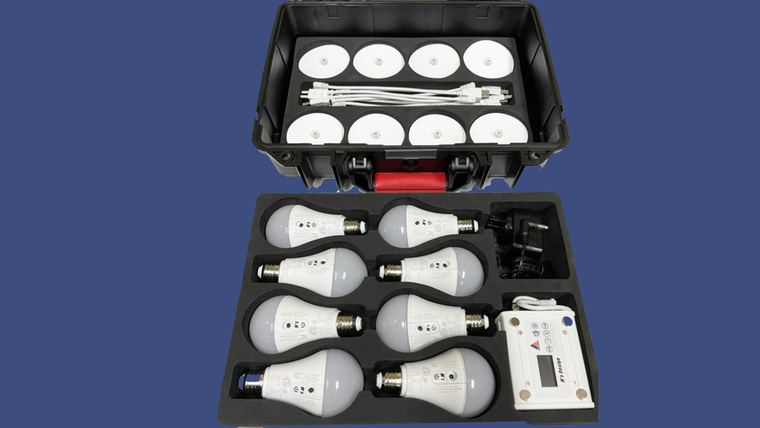 8x Astera Bulbs
