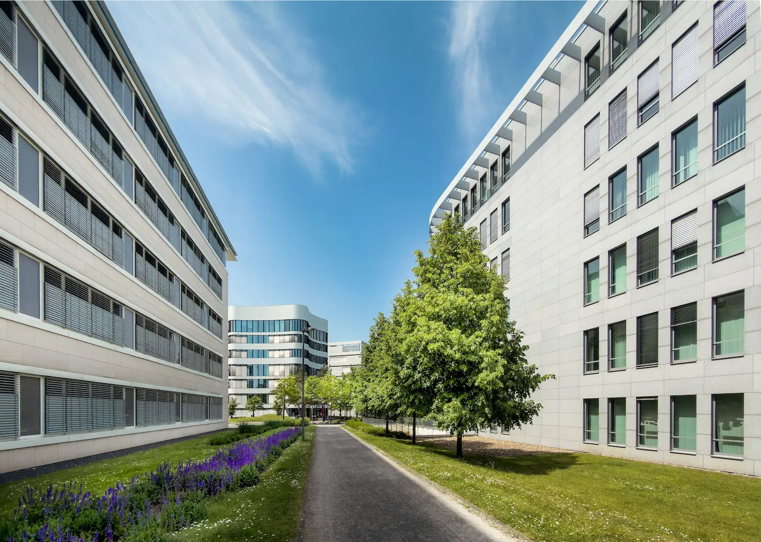 immeubles modernes
