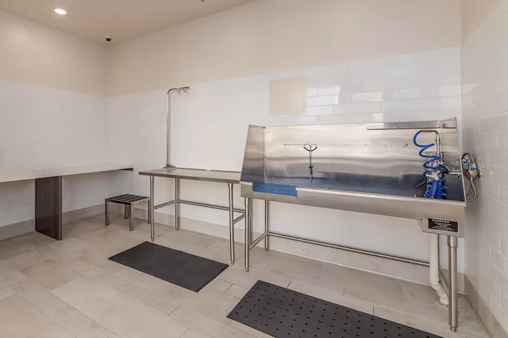 Pet wash station