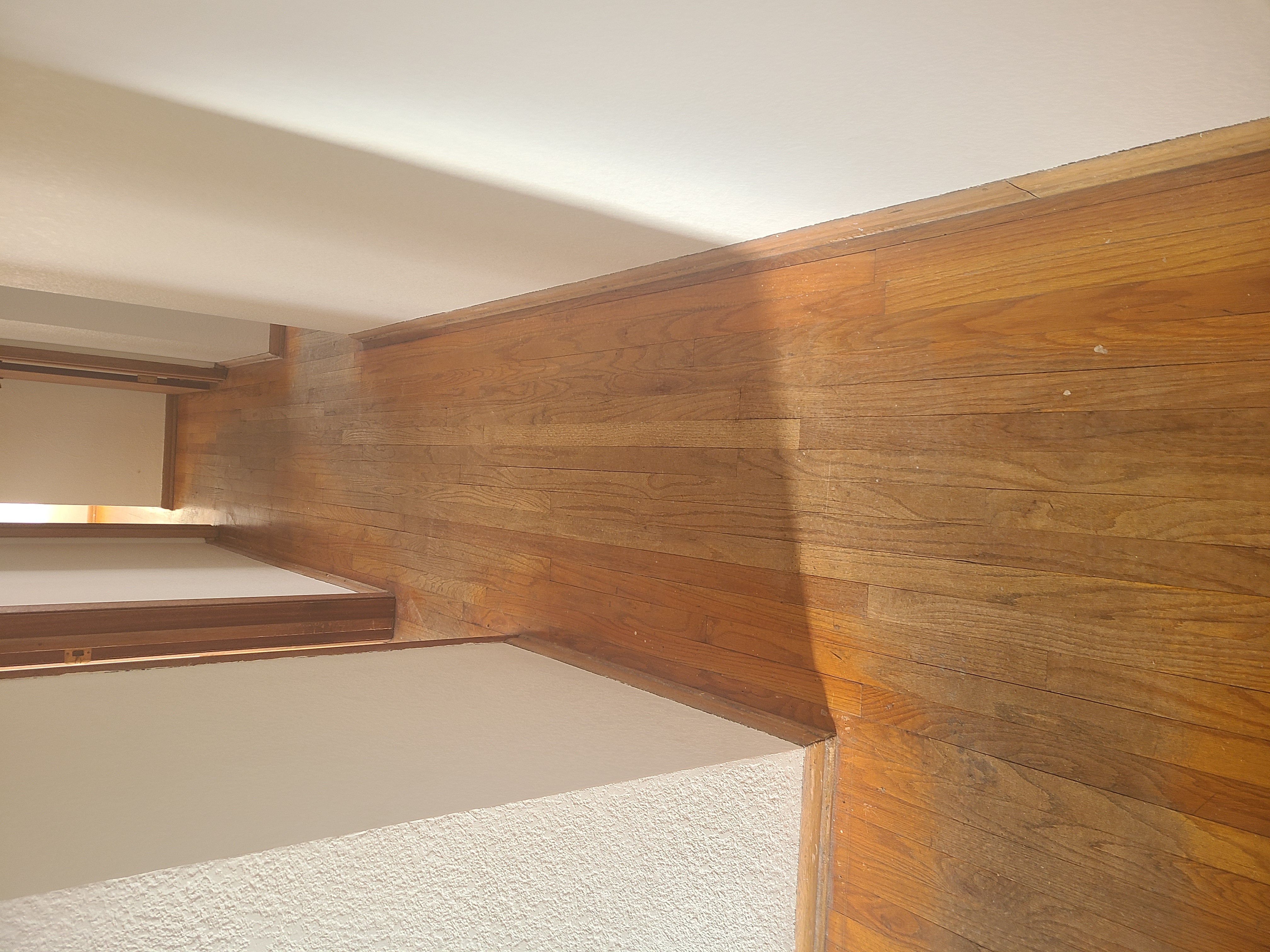 Empty wooden floor hallway with white walls and doorways on the left side.