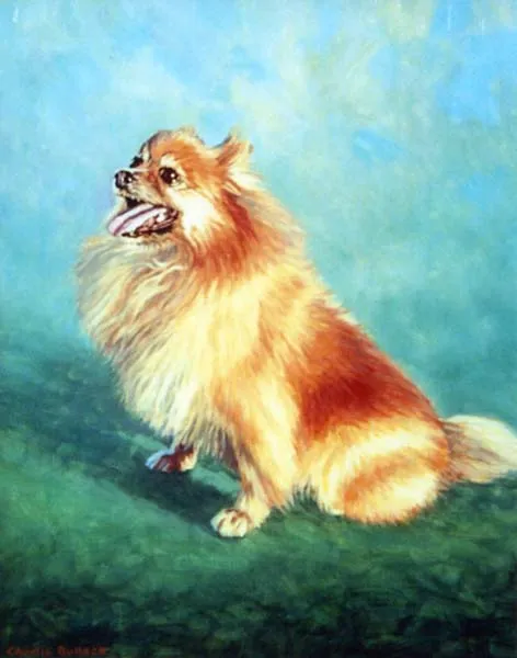 Dog