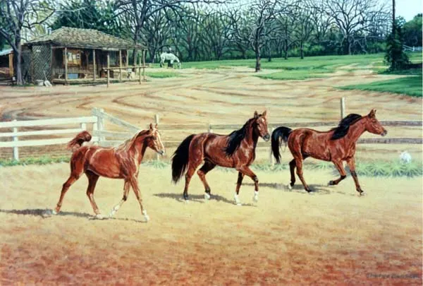 Three Horses