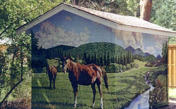 Horse Landscape