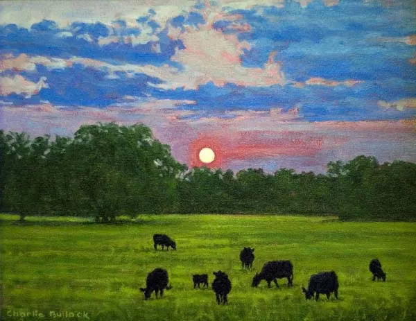 South Texas Sky