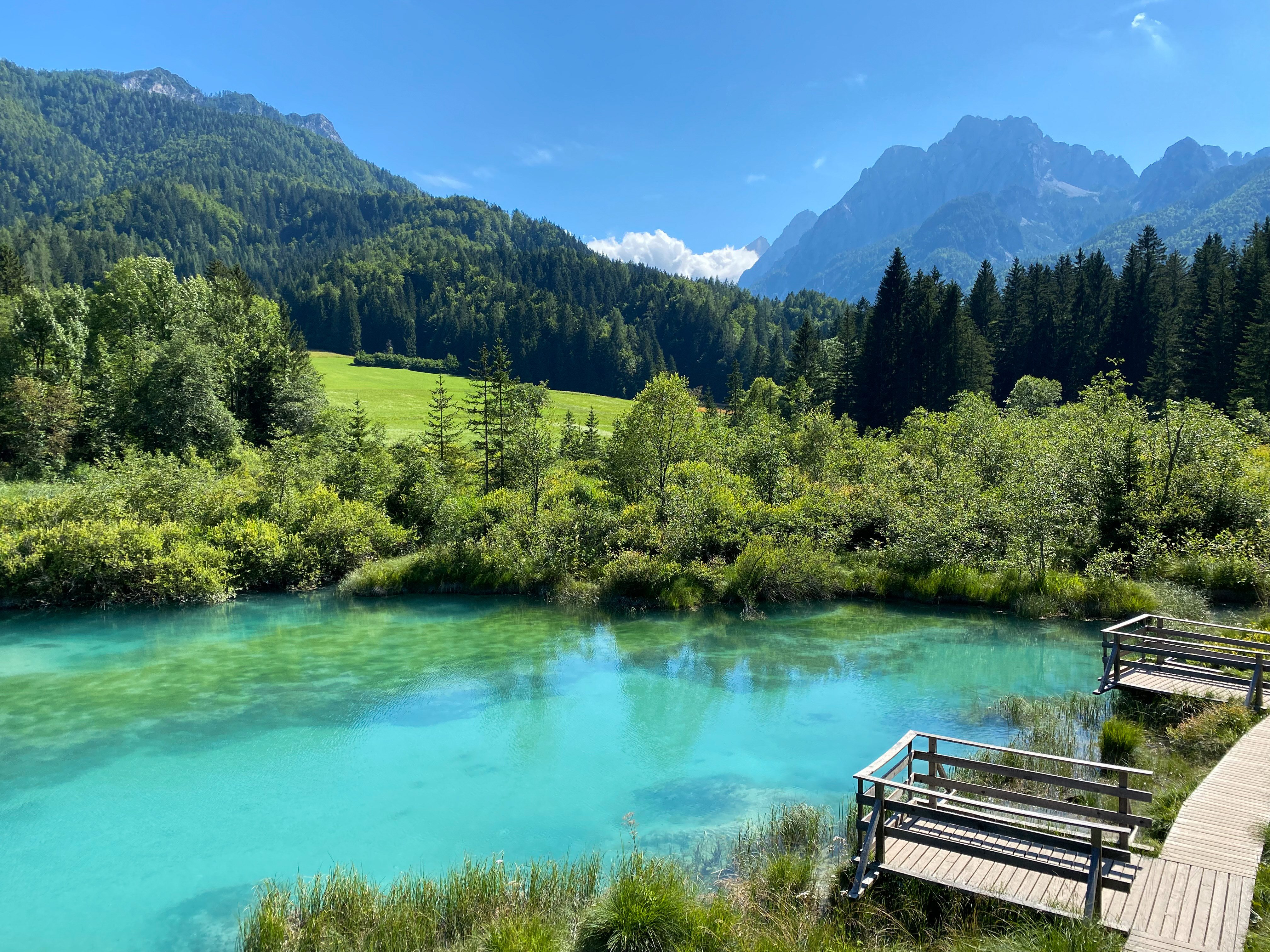 Zelenci natural preserve