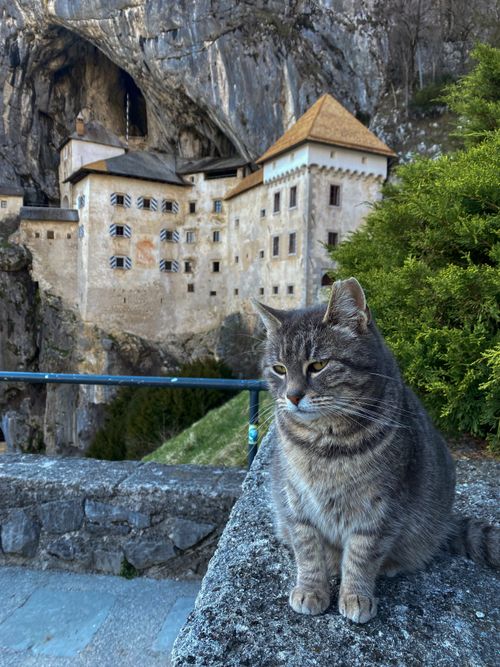 Predjama castle