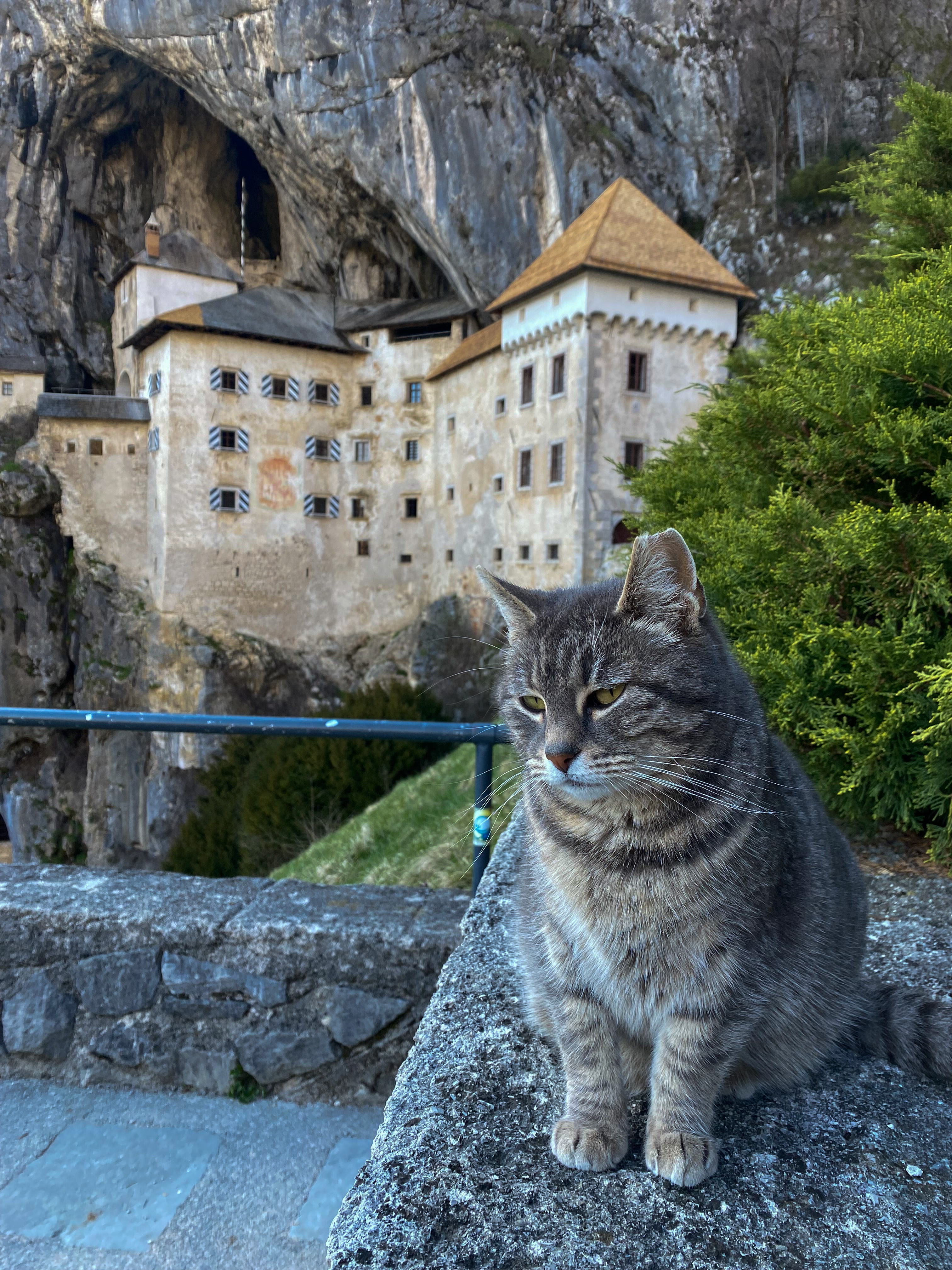 Predjama castle