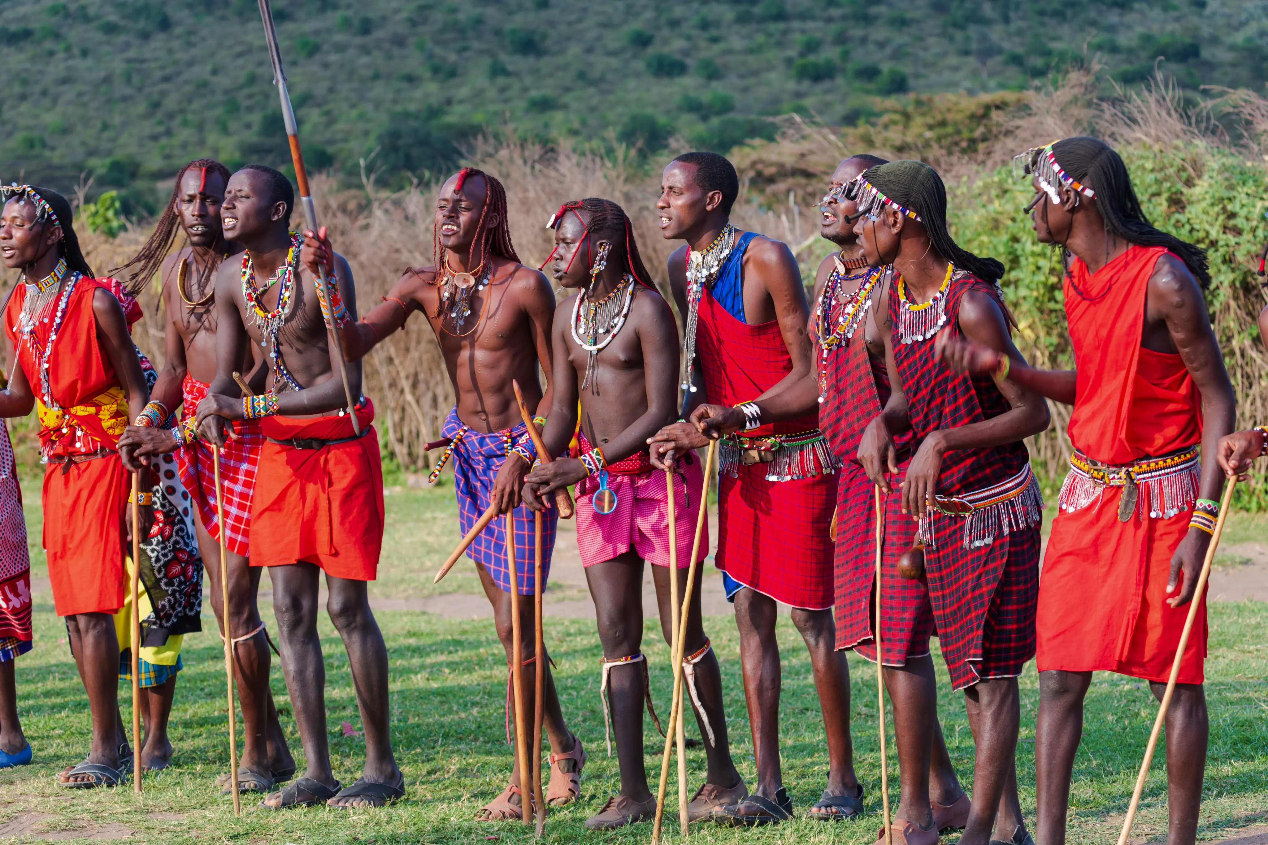 Tanzania Safari