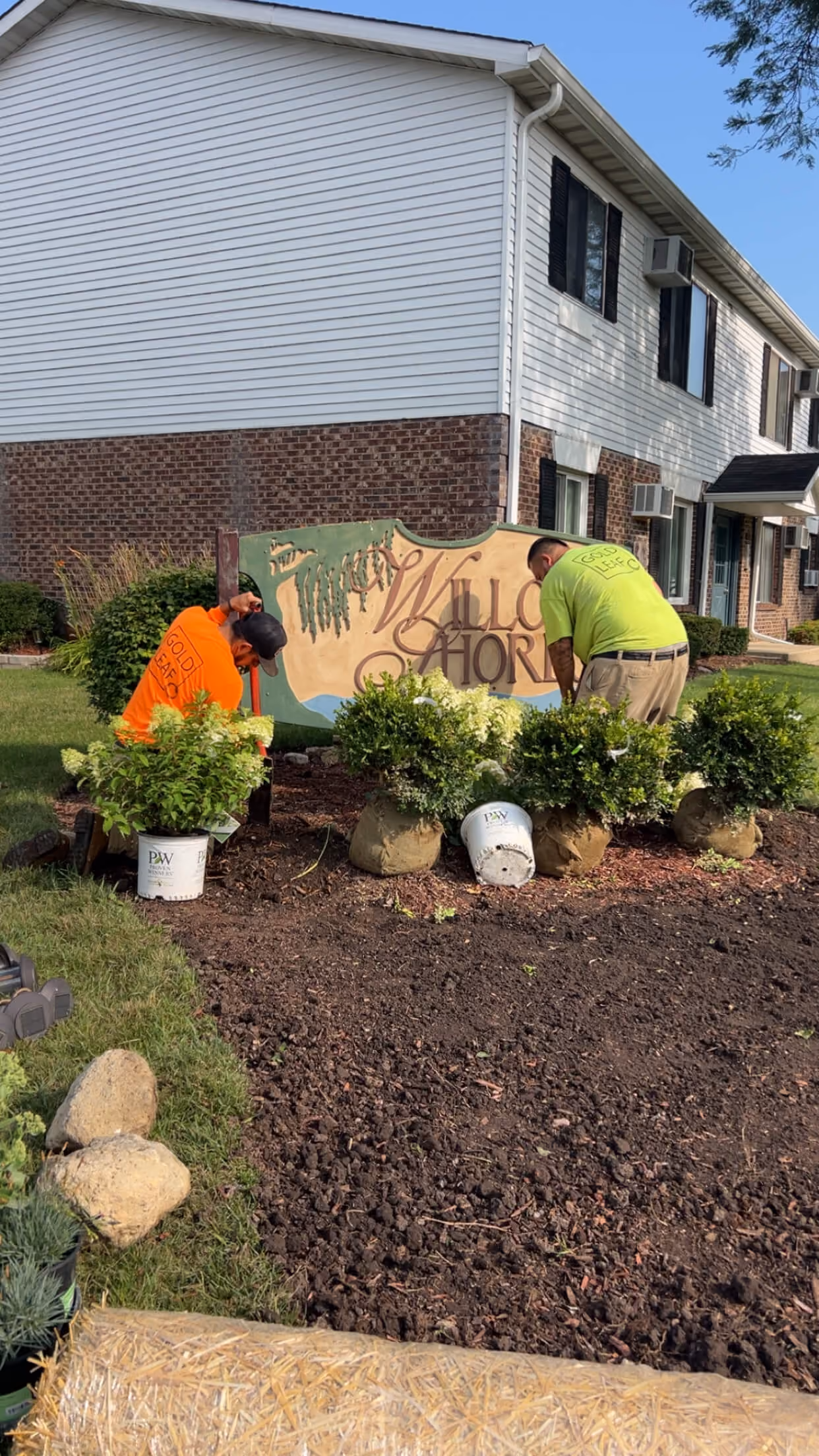 Two landscapers in bright shirts planting shrubs in front of a Willow Shore sign near a building.