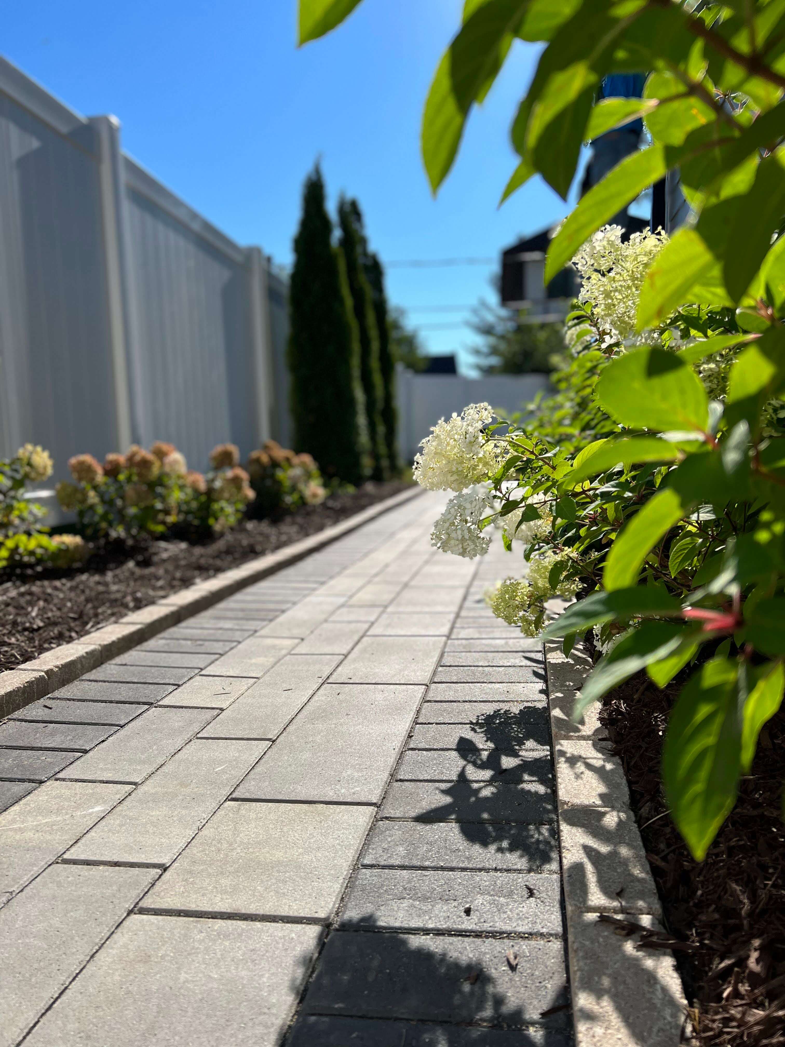 Brick-paved walkway with white flowers and green bushes along one side under a clear blue sky.