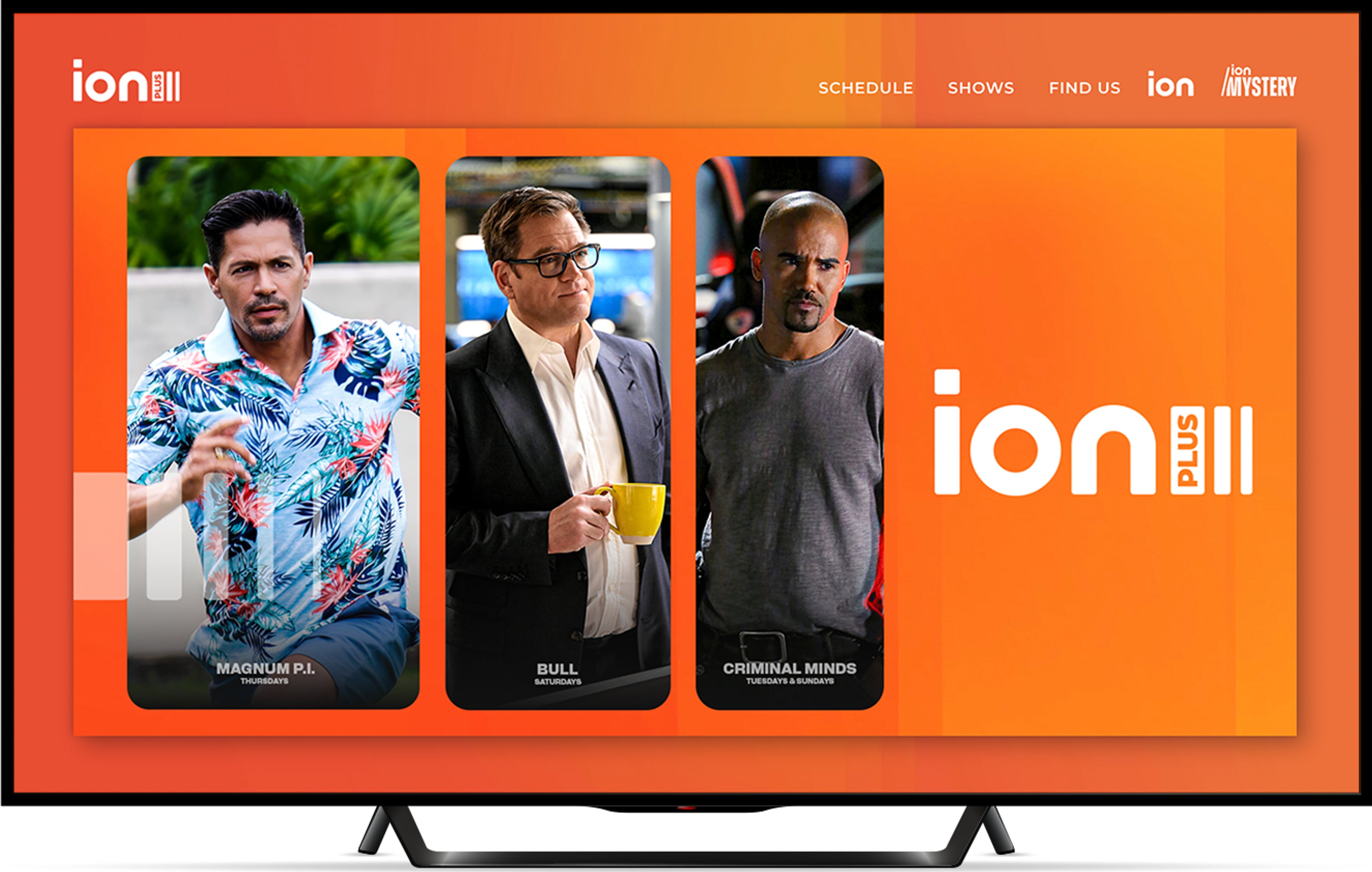 ION Plus