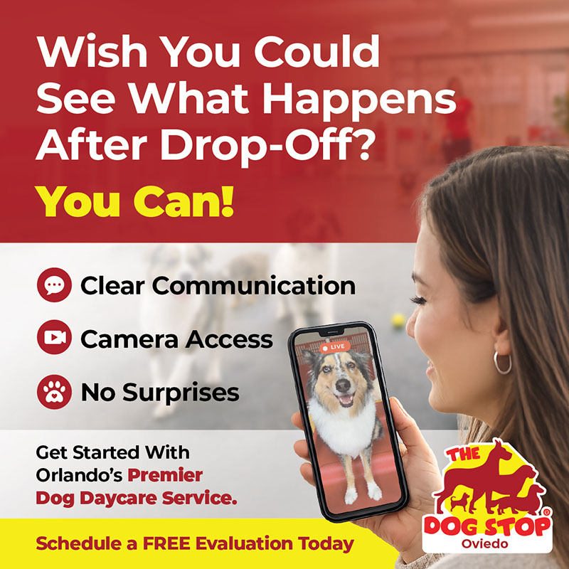 Ad graphic