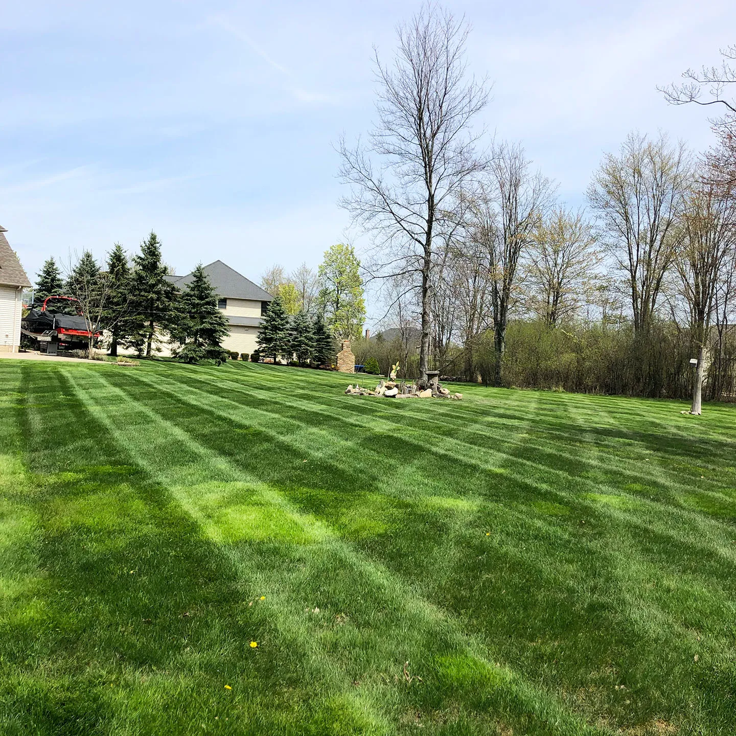 Local lawn care services near me for healthy, well maintained grass