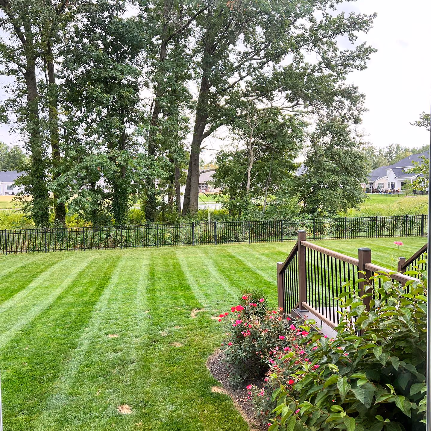 In Season Landscaping routine lawn care for healthy, well maintained grass
