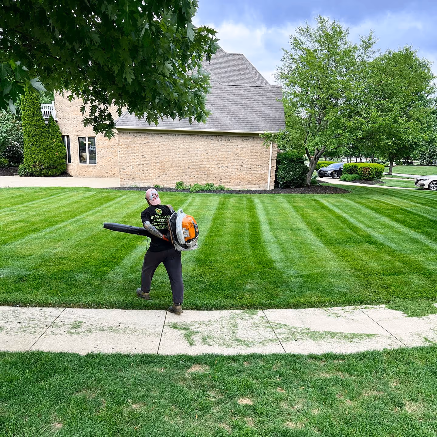 A worker blowing grass trimmers after a freshly cut grass in season landscaping