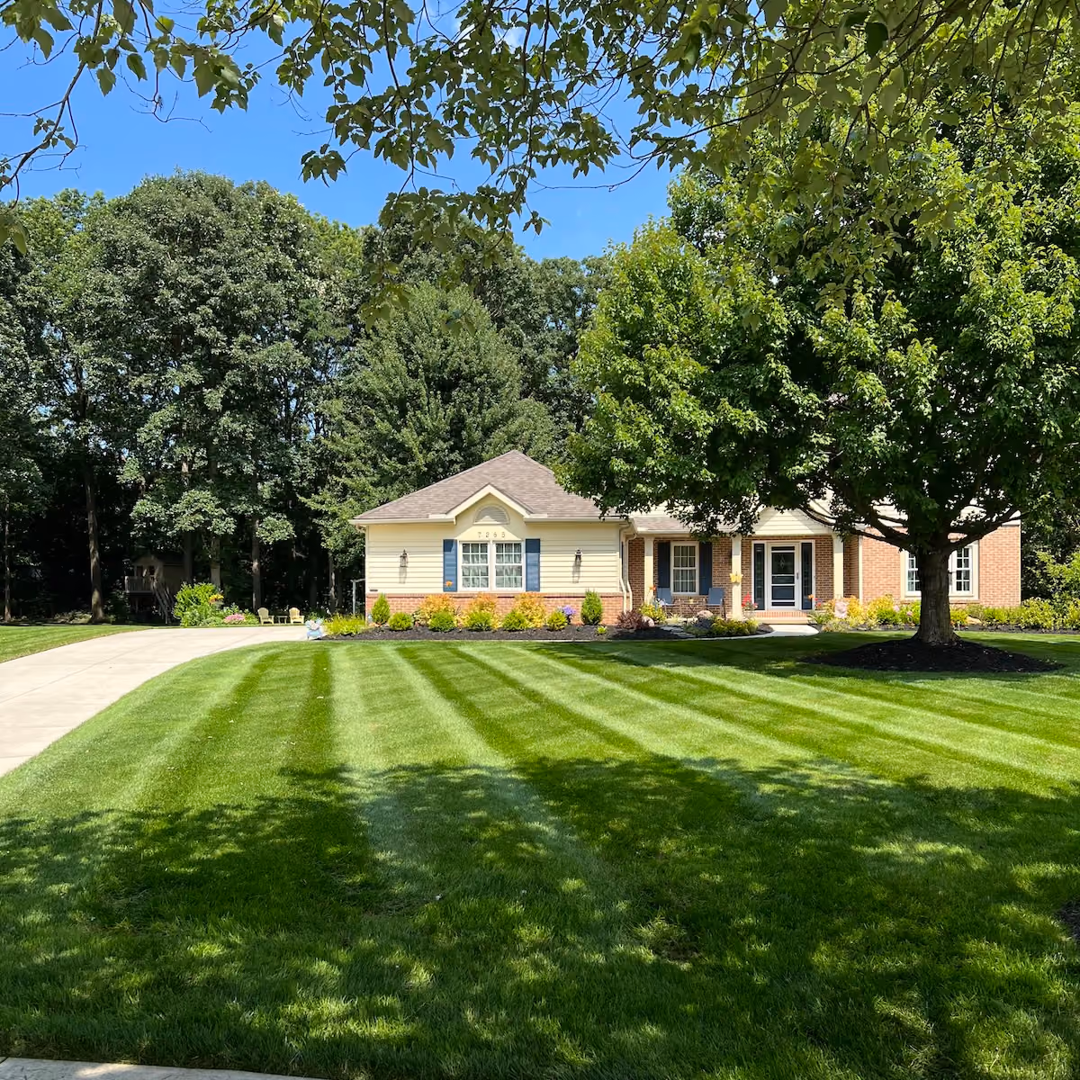 Clean and professionally maintained residential lawn
