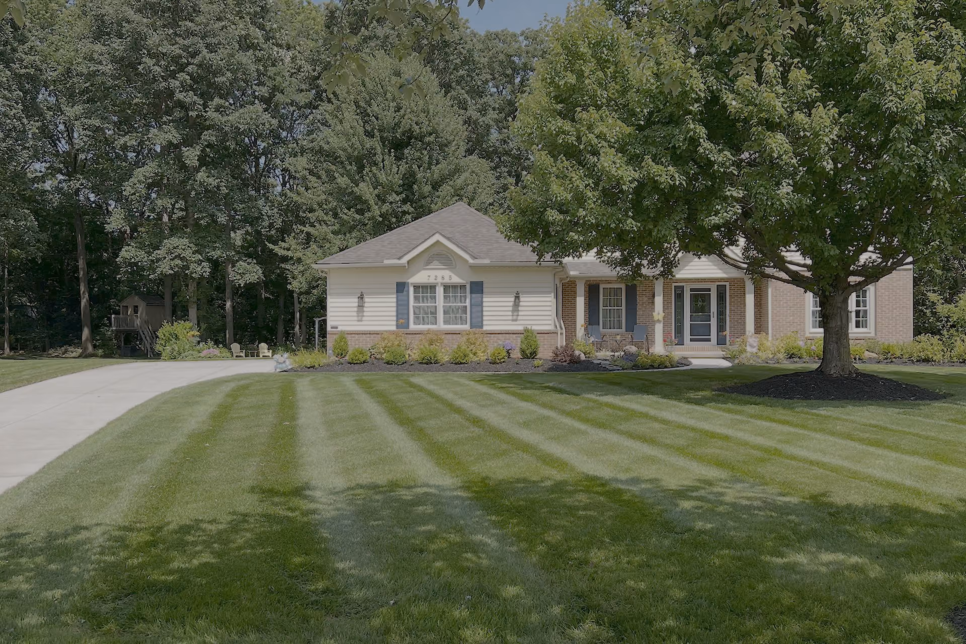 Professional lawn treatments in North Ridgeville, Ohio

